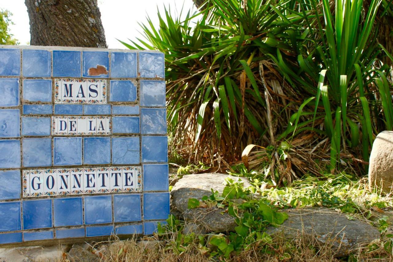 فيلا Mas De La Gonnette فيناسك المظهر الخارجي الصورة